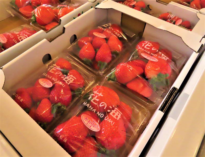 花の海産 いちごパック