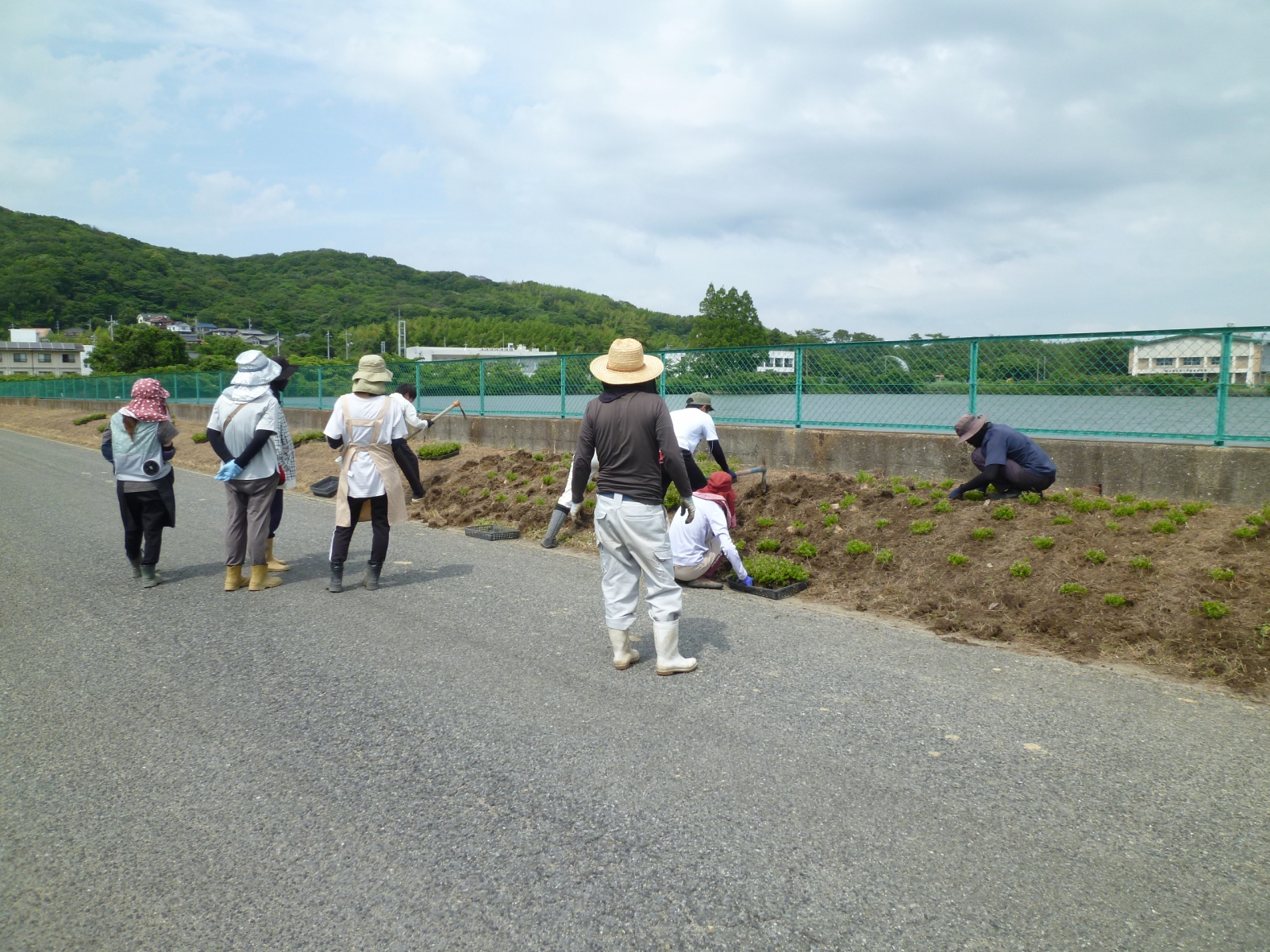 埴生干拓保全会の活動