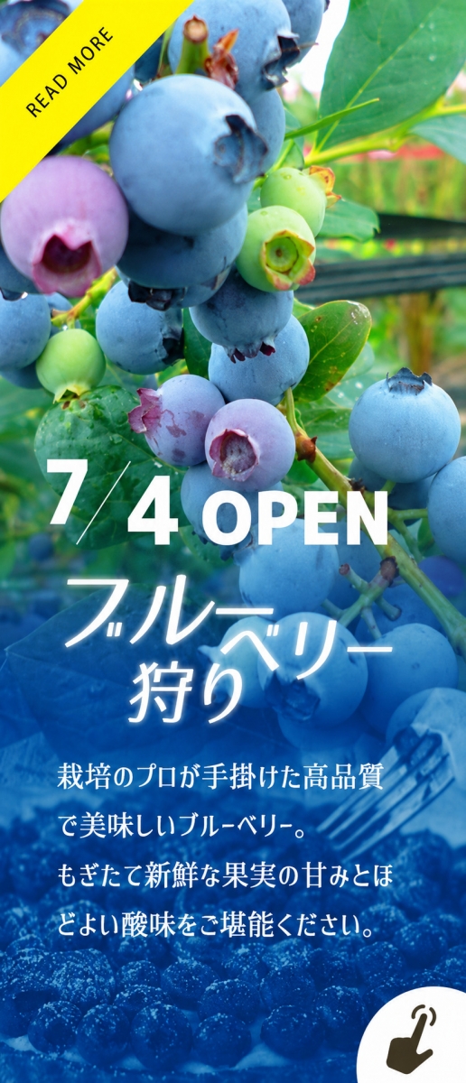ブルーベリー狩り